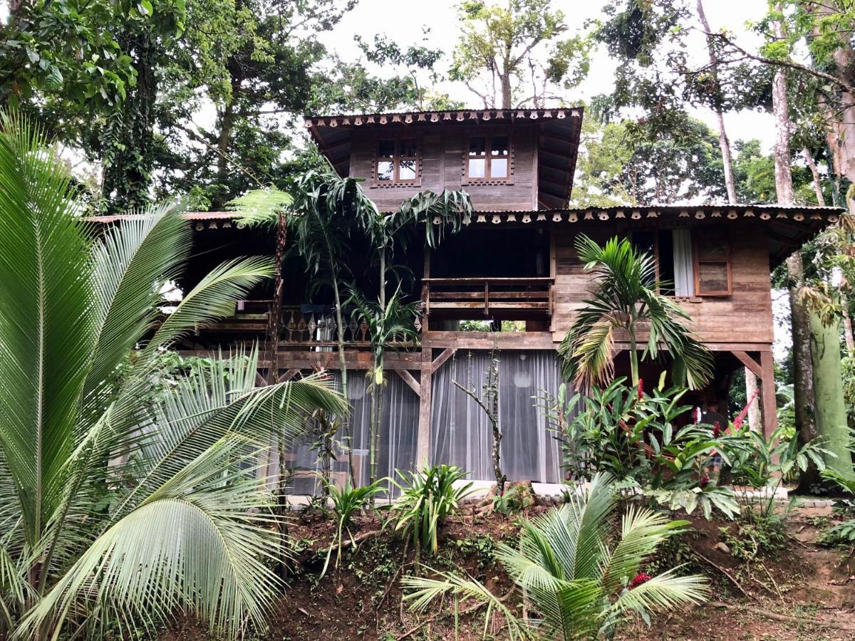 Casa De La Trepada Villa Cocles Exterior foto
